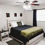Adorable Mini Suite In Tampa