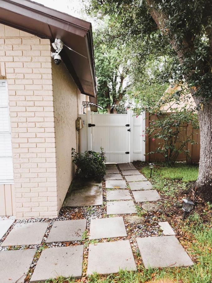 Apartment Adorable Mini In Tampa