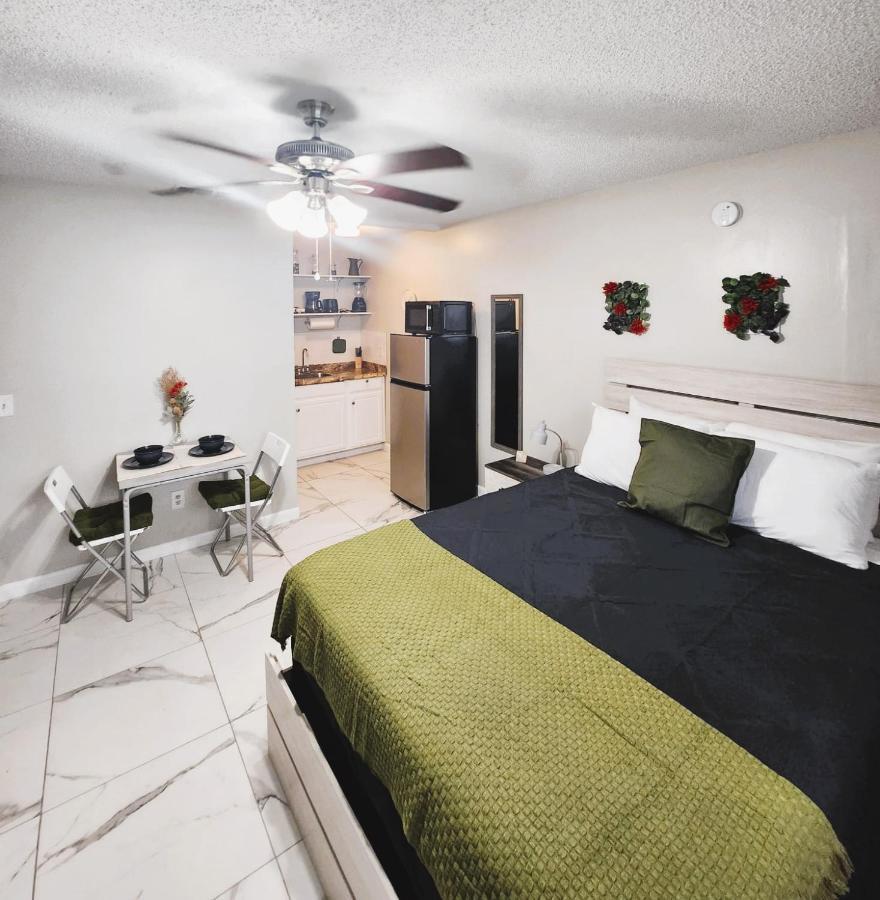 Adorable Mini In Apartment Tampa