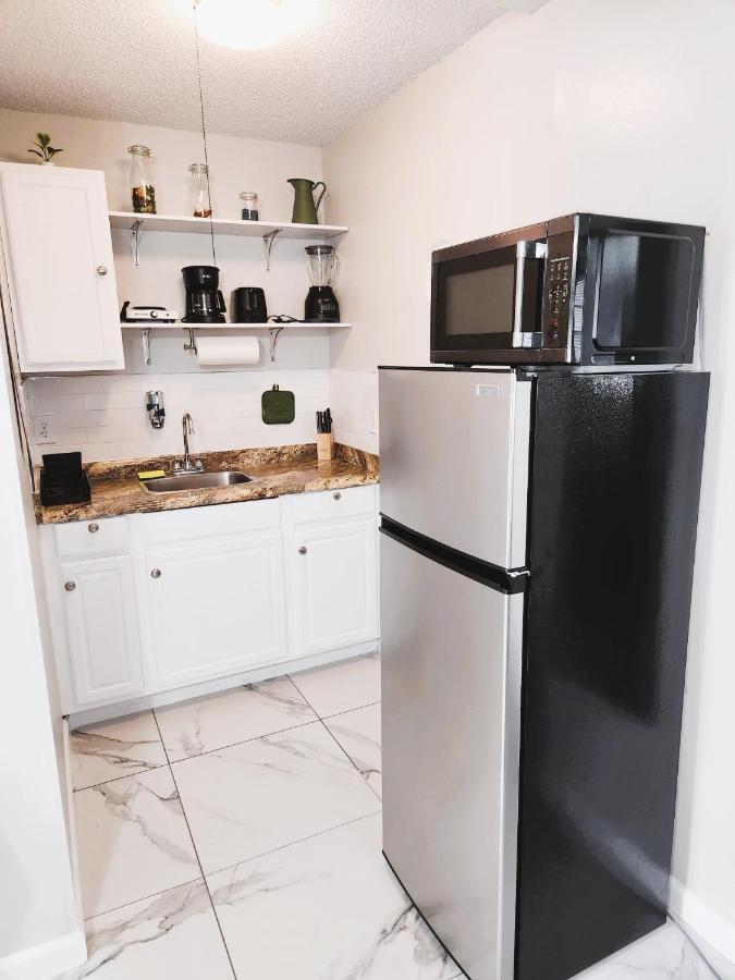 Adorable Mini In Apartment *